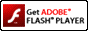 Get Flash